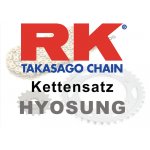 RK Kettensatz Hyosung
