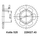 Steel rear sprocket with pitch 525 and 43 teeth Esjot...