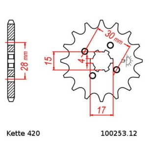 Ritzel Stahl Teilung 420 mit 12 Zähnen JTF253.12