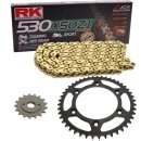 Chain and Sprocket Set Honda VTR 1000 SP1 00-01  chain RK...