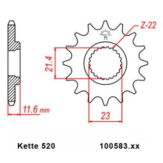 Ritzel Stahl Teilung 520 mit 13 Zähnen JTF583.13