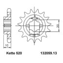 Ritzel Stahl Teilung 520 mit 13 Zähnen Esjot 32059-13