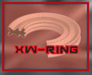 RW-Ring Detailansicht